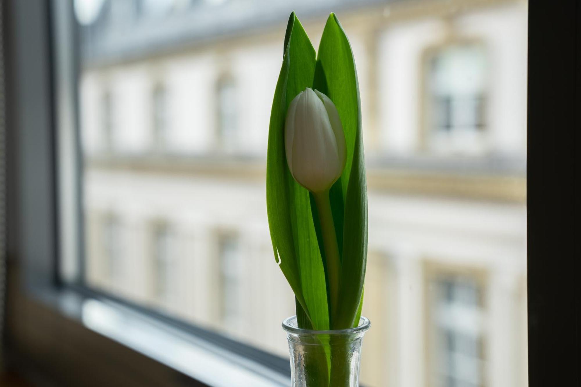 Sankt Andreas Düsseldorf