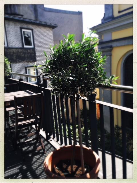 Sankt Andreas Hotel Düsseldorf